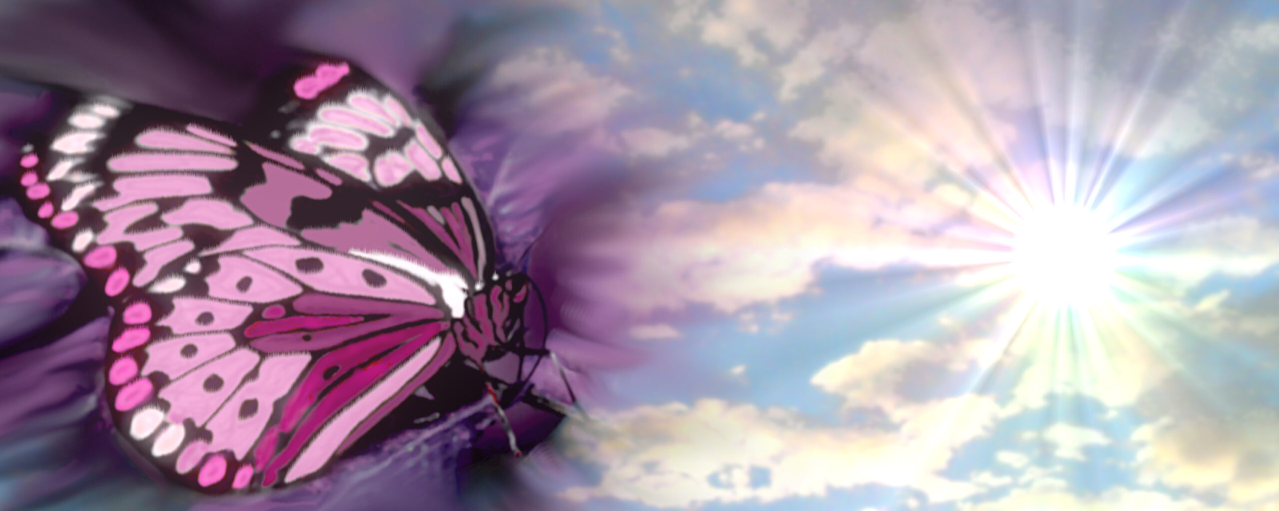 Bildkomposition purpurner Schmetterling und Sommerhimmel mit Wolken und Sonne